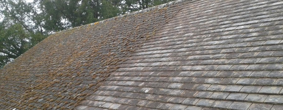 Professional Roof Cleaning